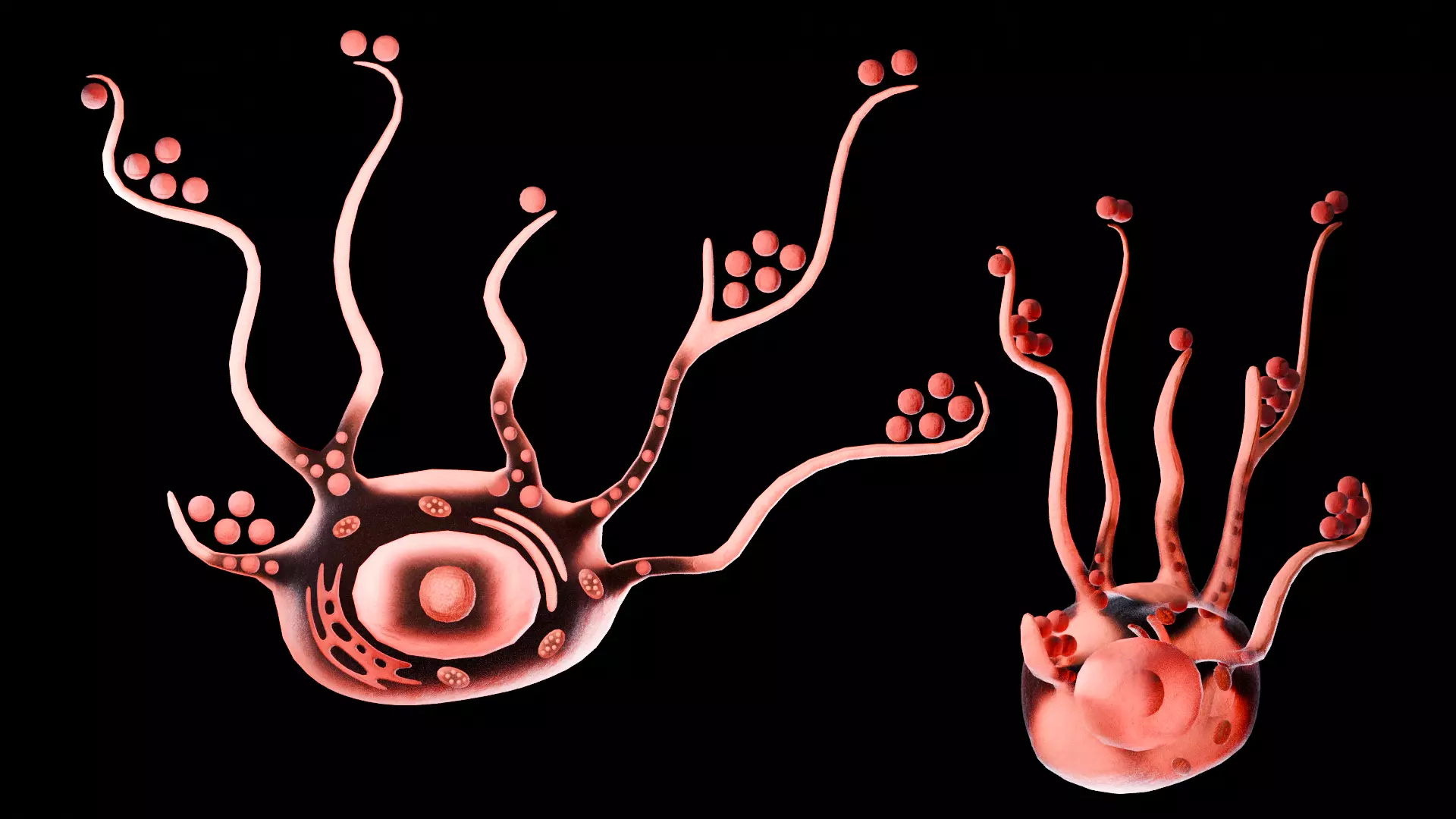 Human Integumentary System Anatomy 3D Model Collection_16