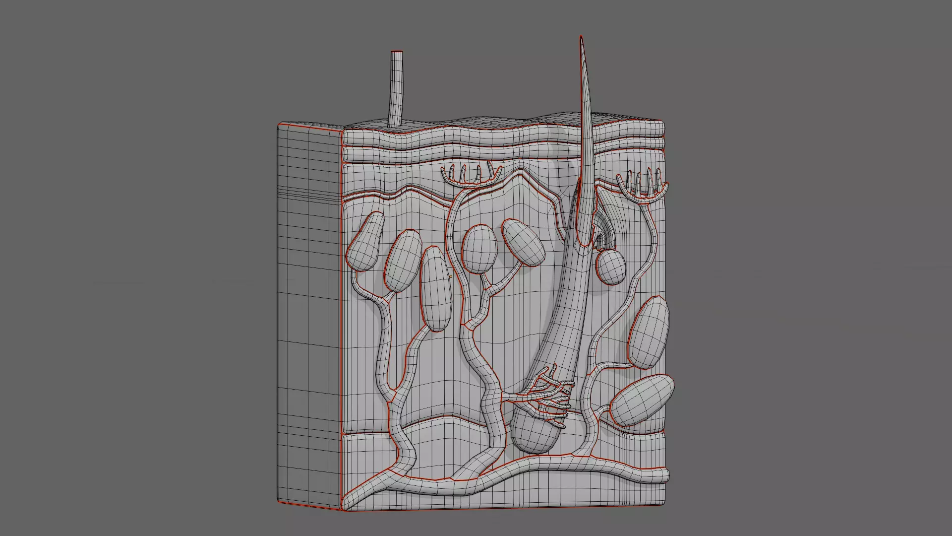 Human Integumentary System Anatomy 3D Model Collection_20
