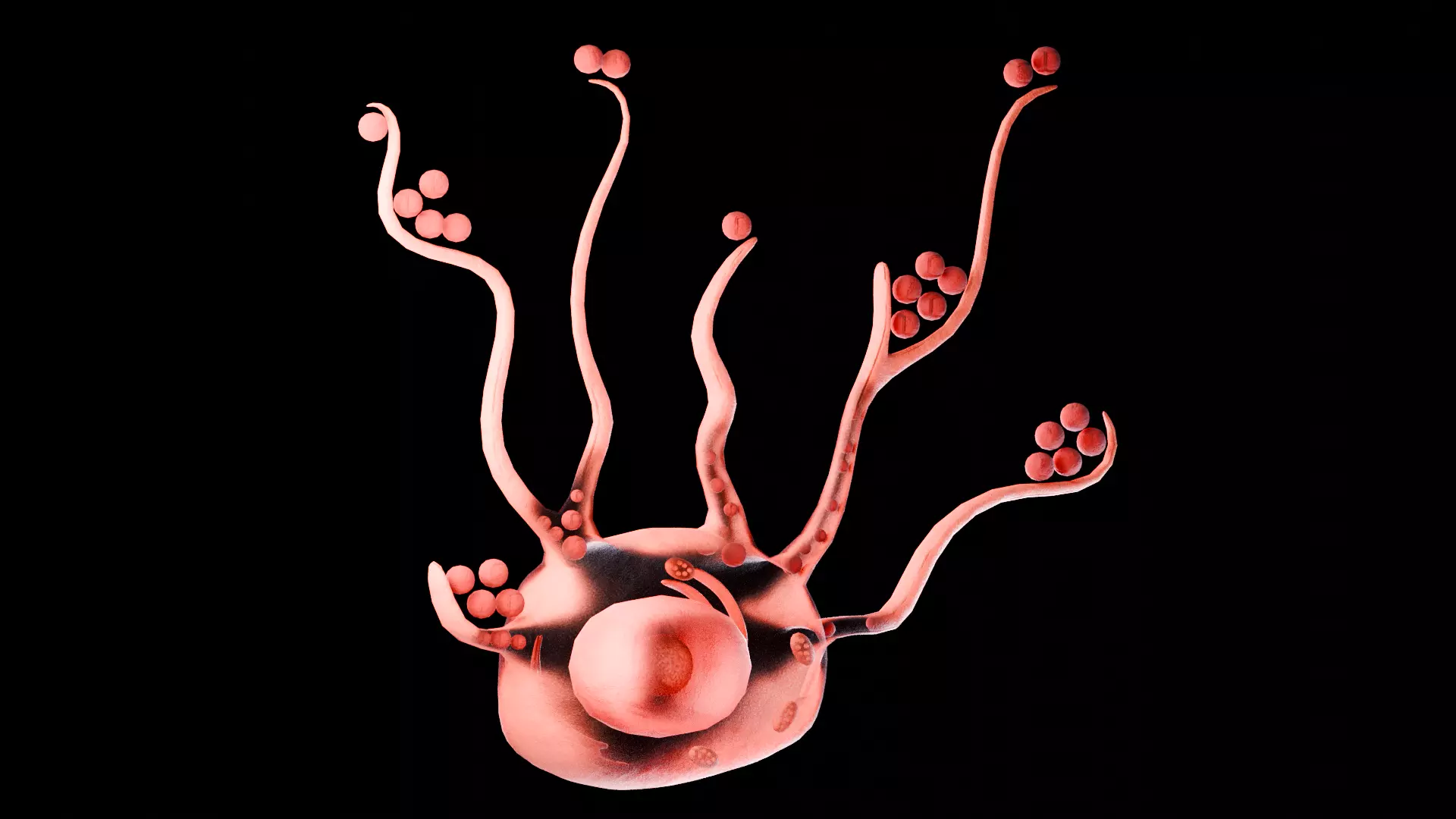 Human Integumentary System Anatomy 3D Model Collection_15