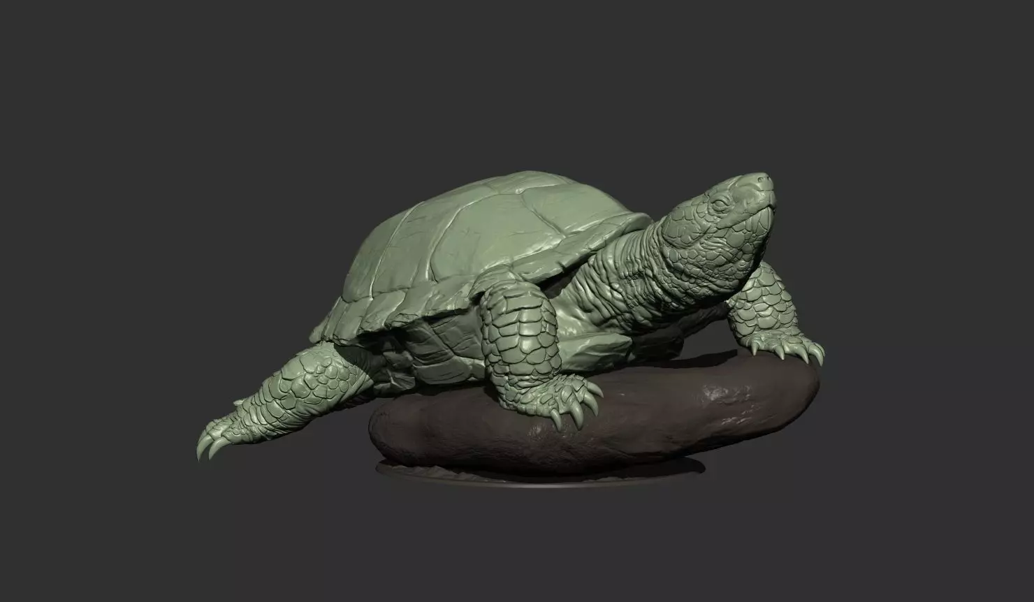 Turtle 3d model 3D print model_0