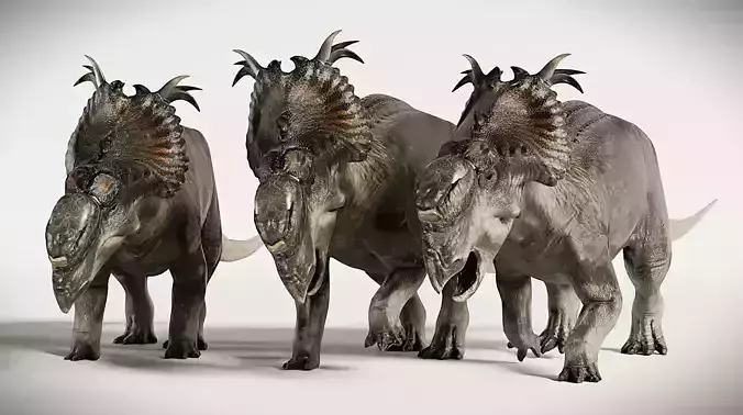 Pachyrhinosaurus Realistic 3d model