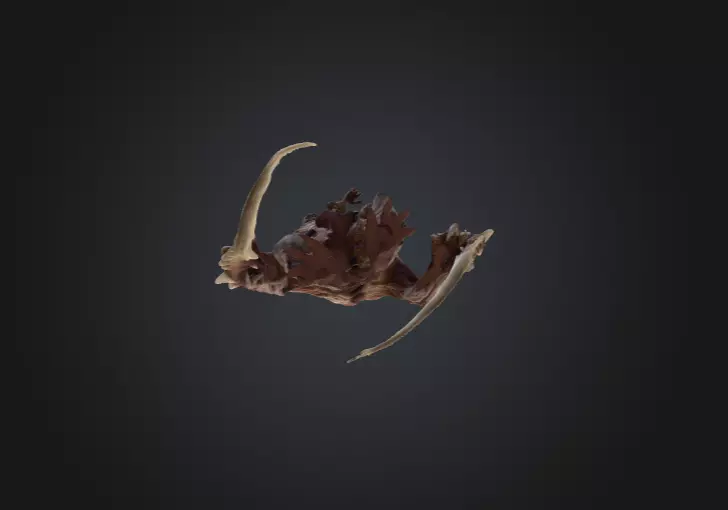 Flesh Recycler Low-poly 3D model_14