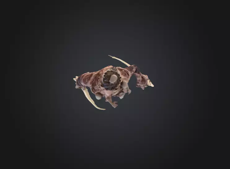 Flesh Recycler Low-poly 3D model_13