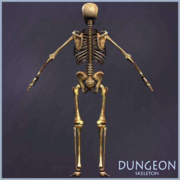Dungeon Skeleton Low-poly 3D model_8