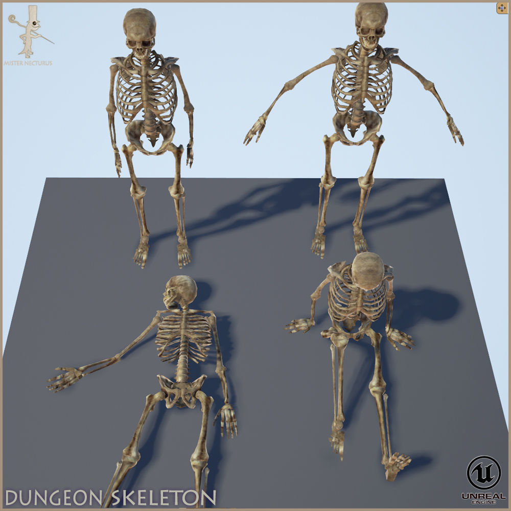 Dungeon Skeleton Low-poly 3D model_6