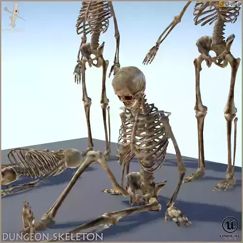 Dungeon Skeleton Low-poly 3D model
