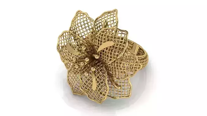 Ring ultra vision  20V 