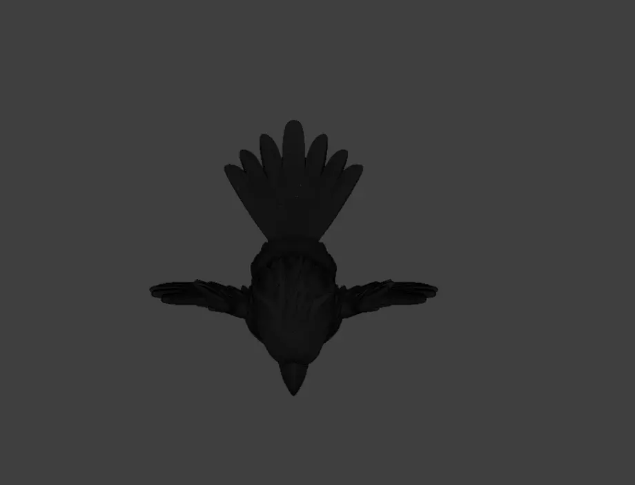 Raven Fury Low-poly 3D model_26