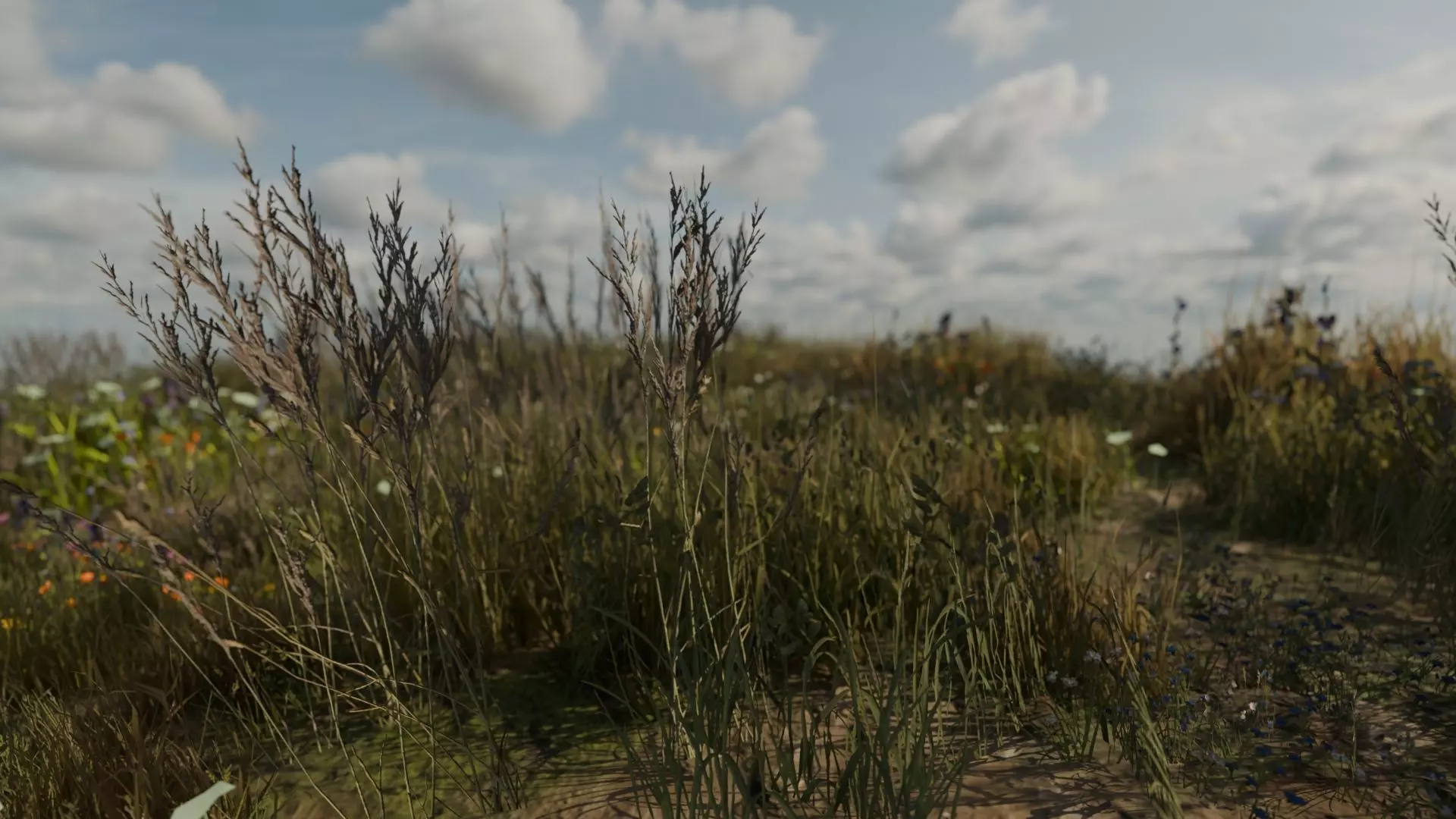 Grass Field Low-poly 3D model