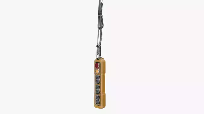 Crane Remote