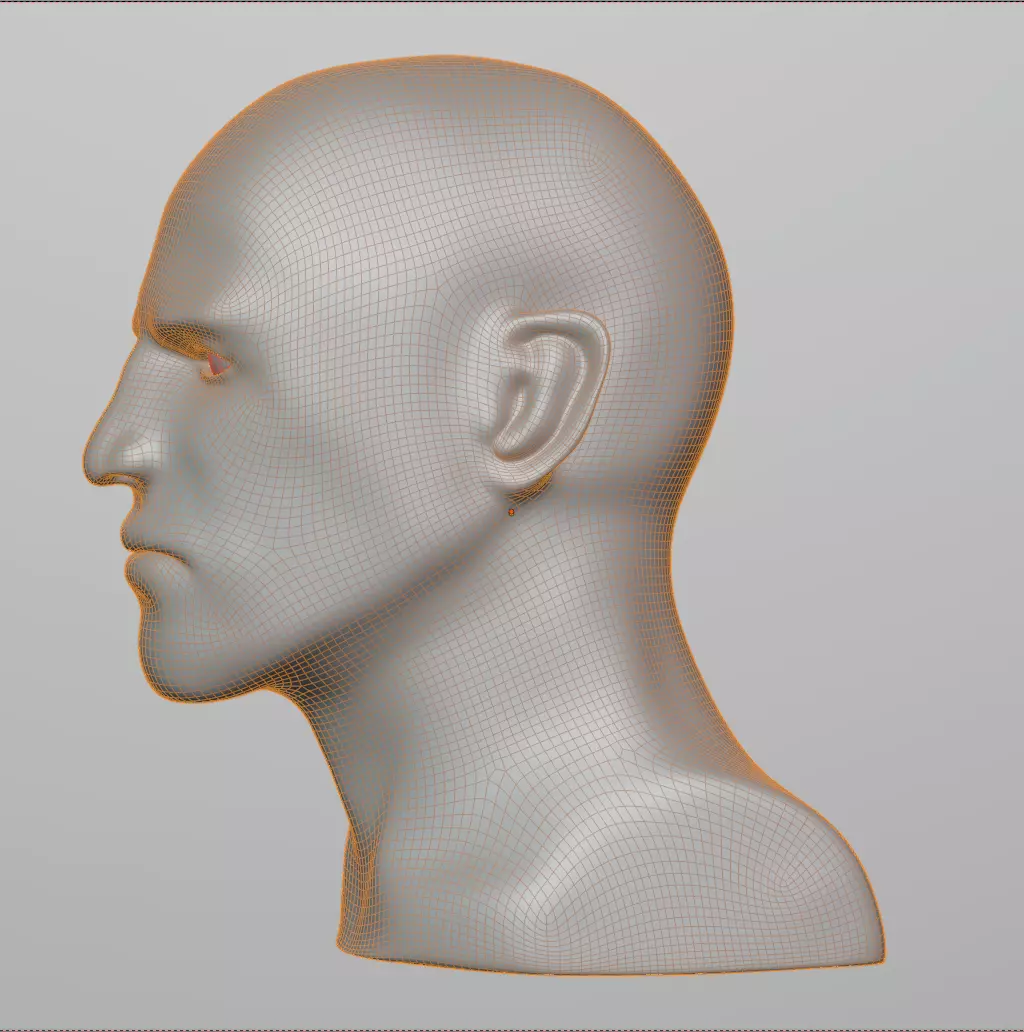 Male Head Base Mesh Low-poly 3D model_4