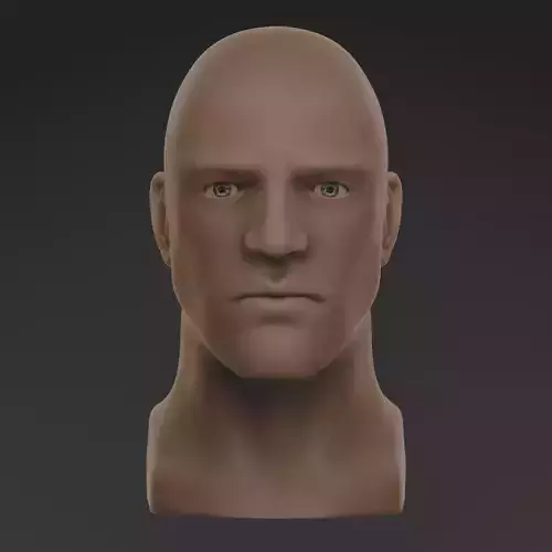 Male Head Base Mesh