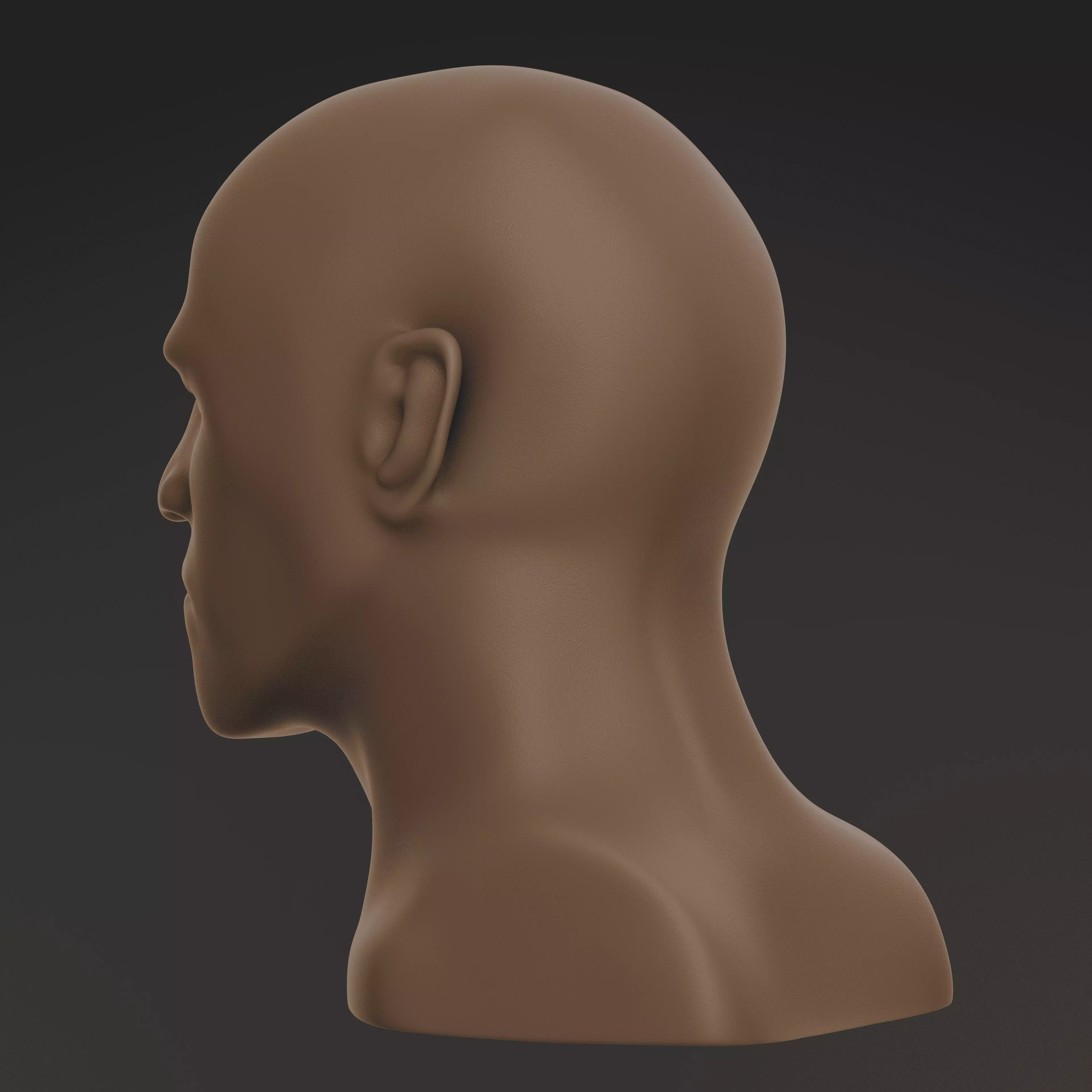 Male Head Base Mesh Low-poly 3D model_1