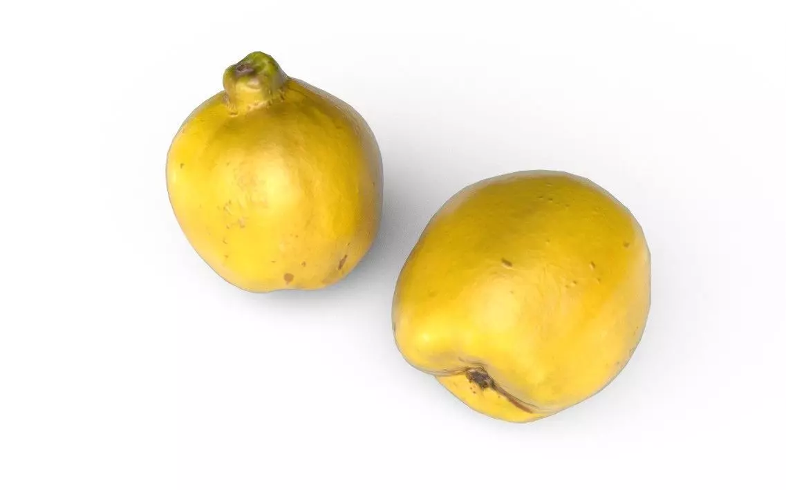 Quince M01 Low-poly 3D model_3