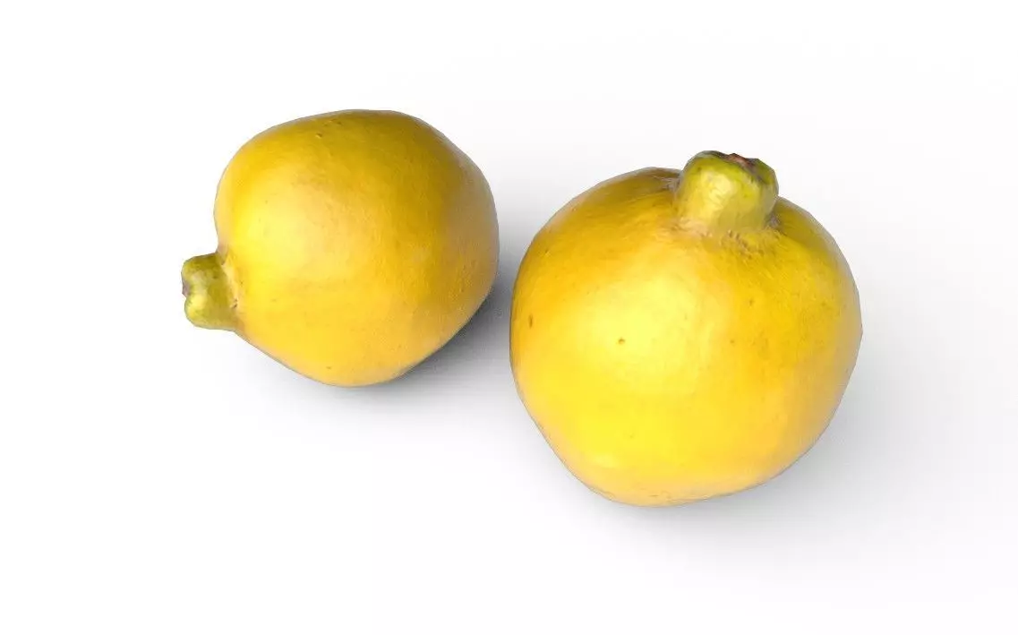 Quince M01 Low-poly 3D model_5