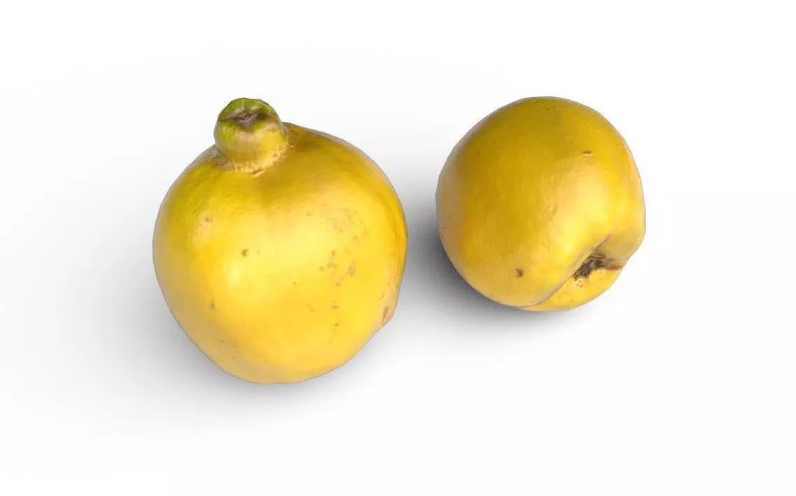 Quince M01 Low-poly 3D model_0