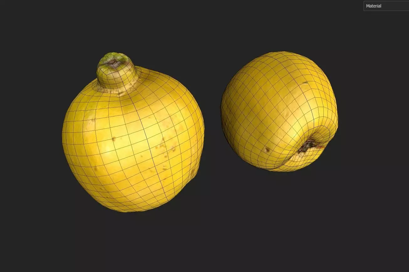 Quince M01 Low-poly 3D model_1