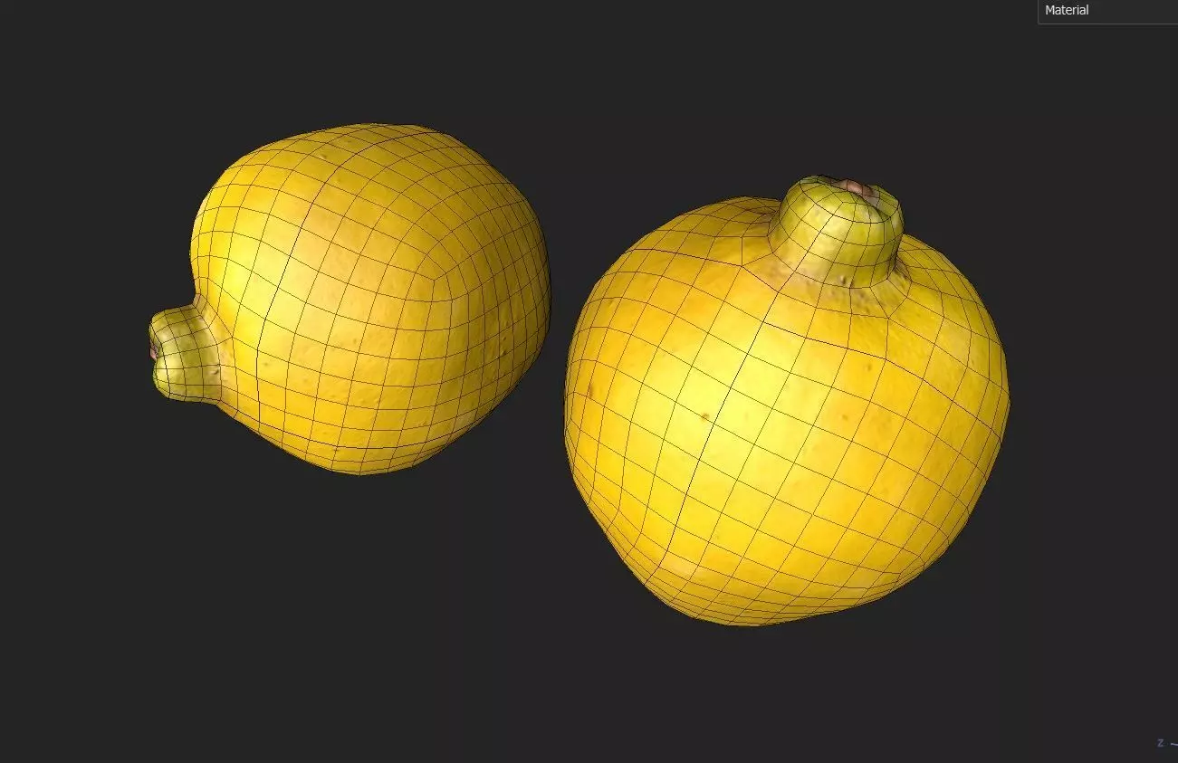 Quince M01 Low-poly 3D model_6