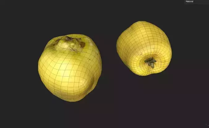 Quince M02 Low-poly 3D model 2