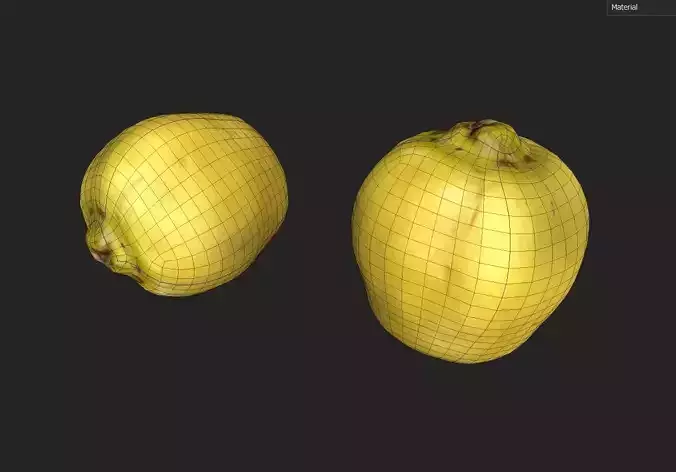 Quince M02 Low-poly 3D model 7
