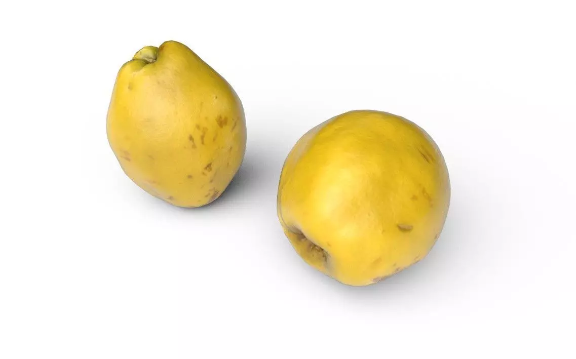 Quince M03 Low-poly 3D model_3