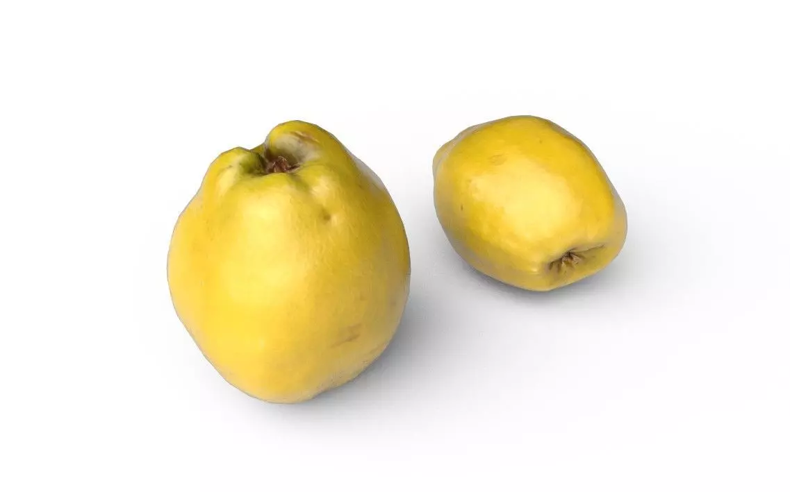 Quince M03 Low-poly 3D model_0