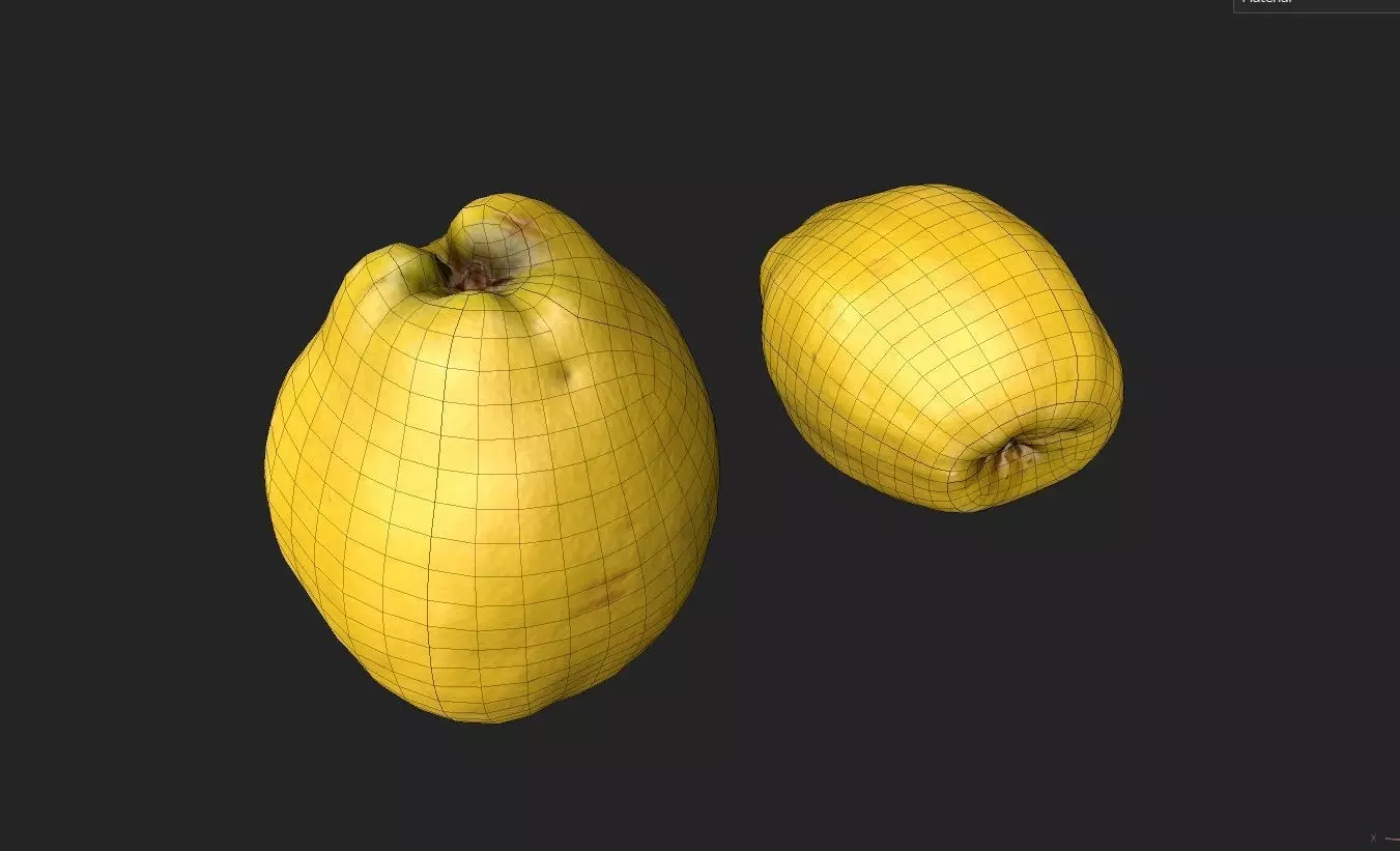 Quince M03 Low-poly 3D model_1