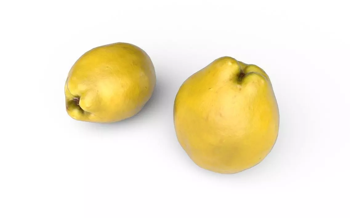 Quince M03 Low-poly 3D model_5