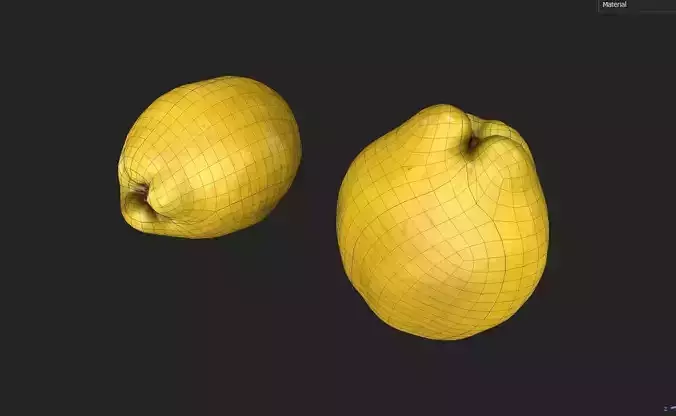 Quince M03 Low-poly 3D model 7