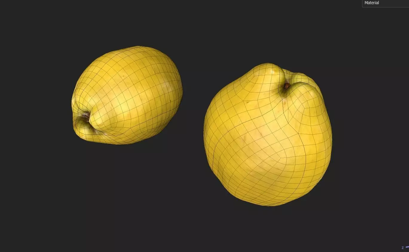 Quince M03 Low-poly 3D model_6