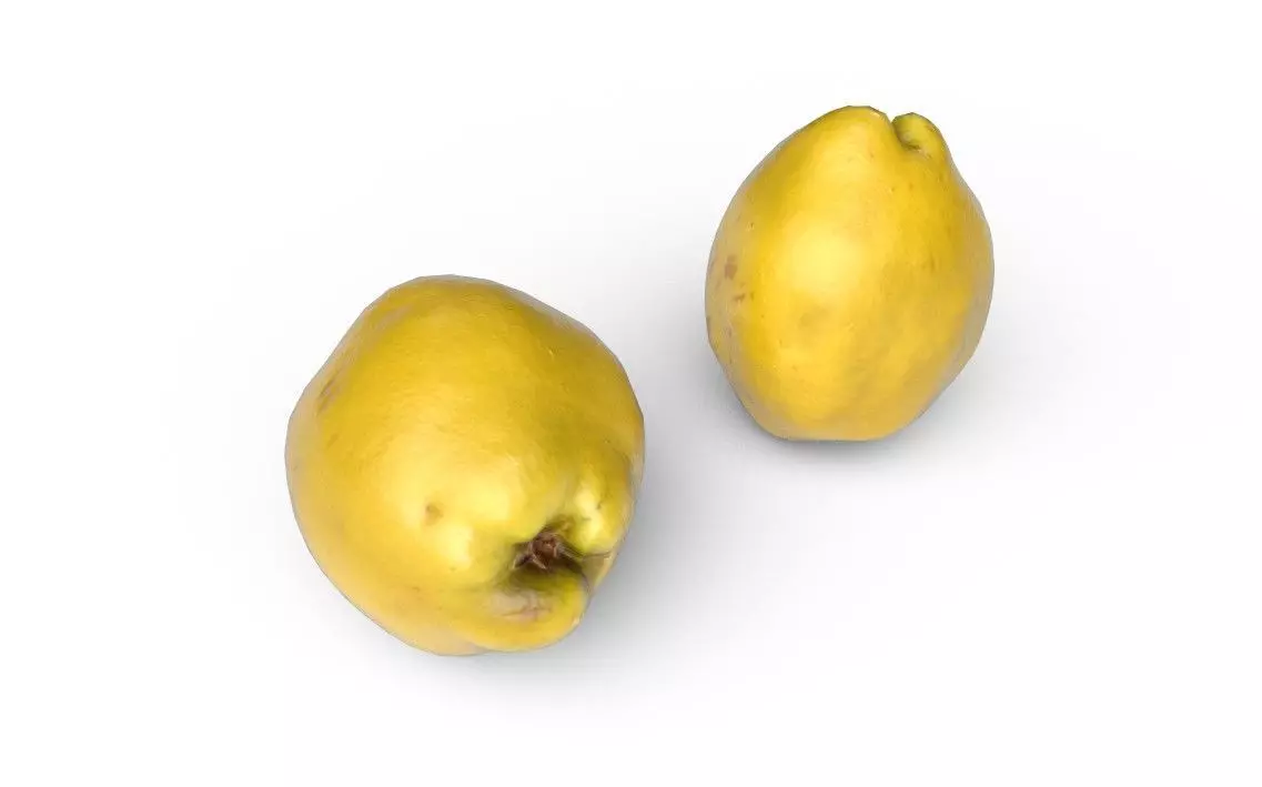 Quince M03 Low-poly 3D model_4