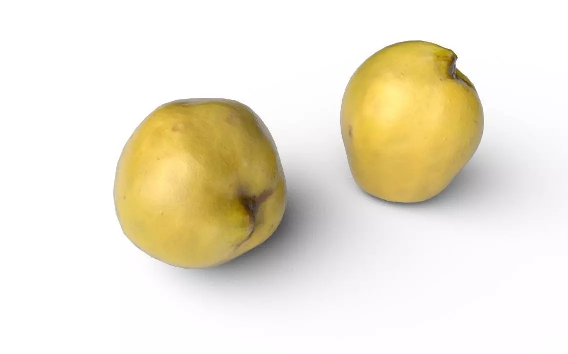 Quince M04 Low-poly 3D model_4