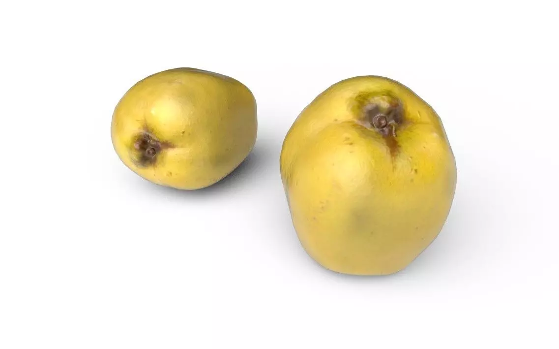 Quince M04 Low-poly 3D model_5