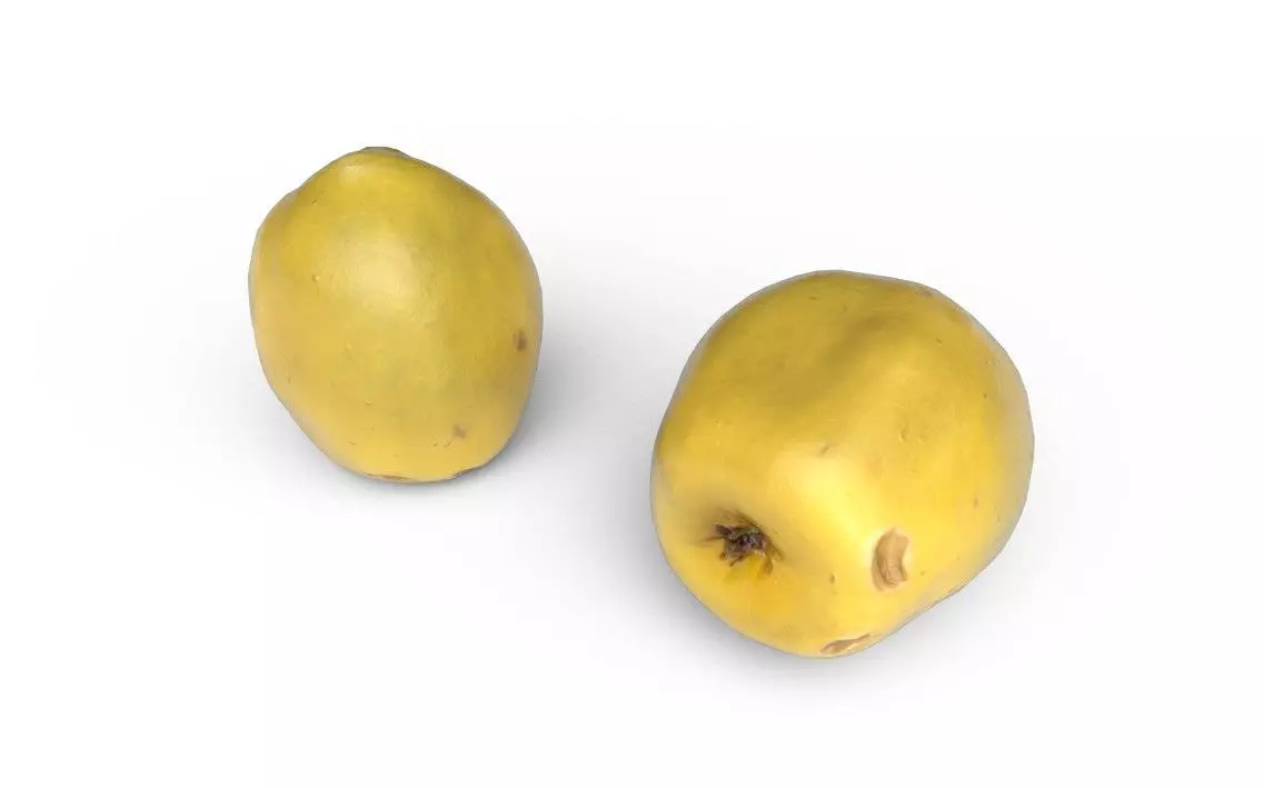 Quince M04 Low-poly 3D model_3