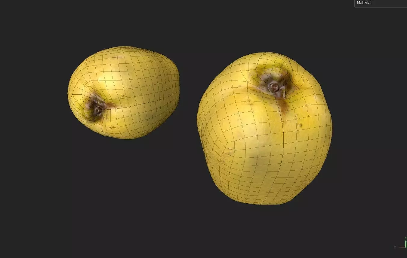 Quince M04 Low-poly 3D model_6