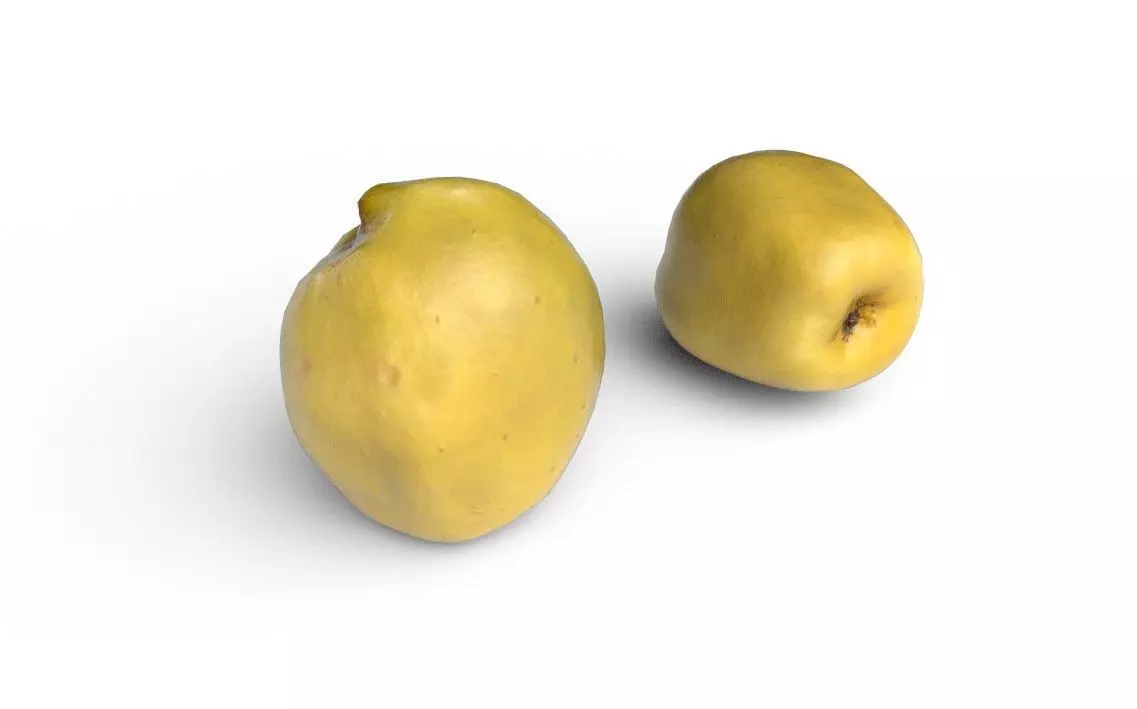 Quince M04 Low-poly 3D model_0