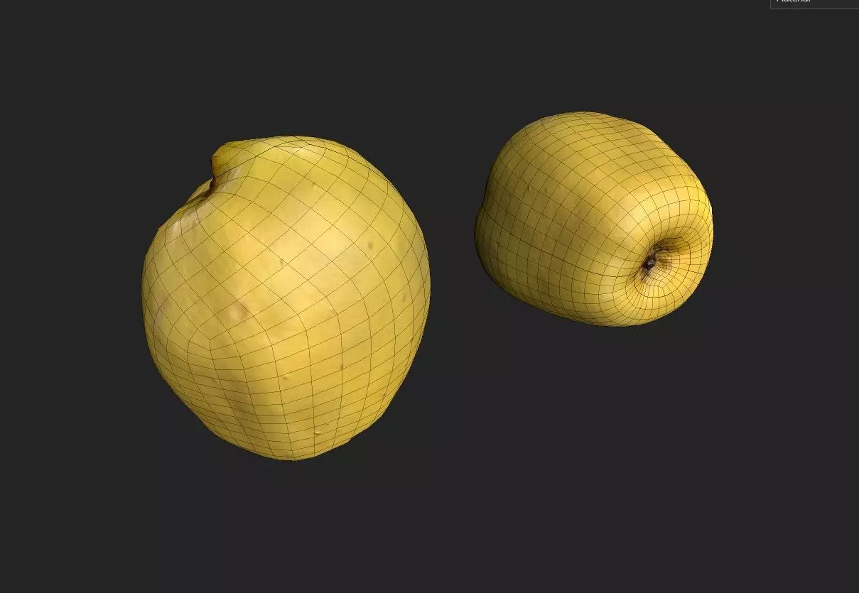 Quince M04 Low-poly 3D model_1