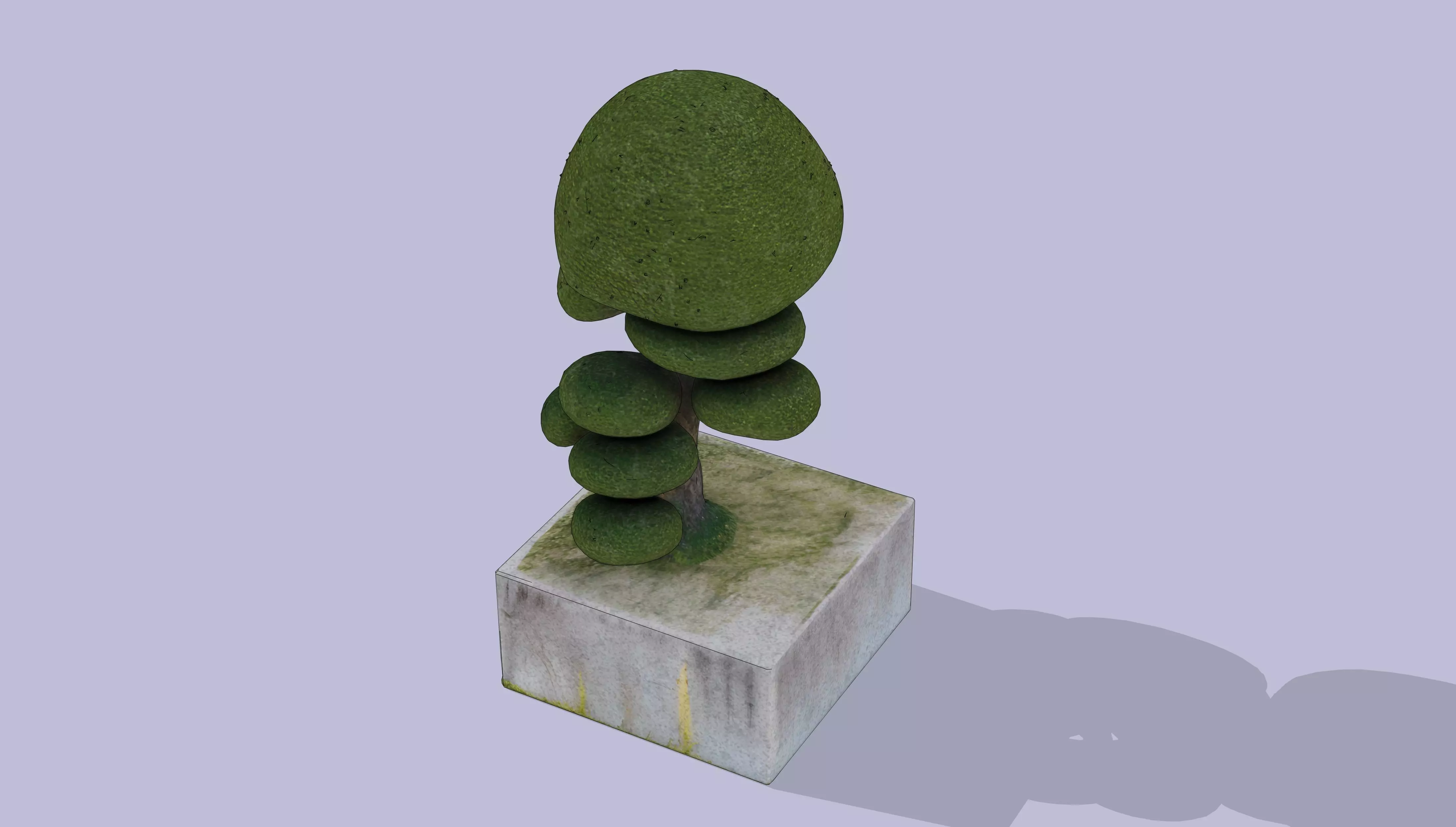 Bonsai Low-poly 3D model_3