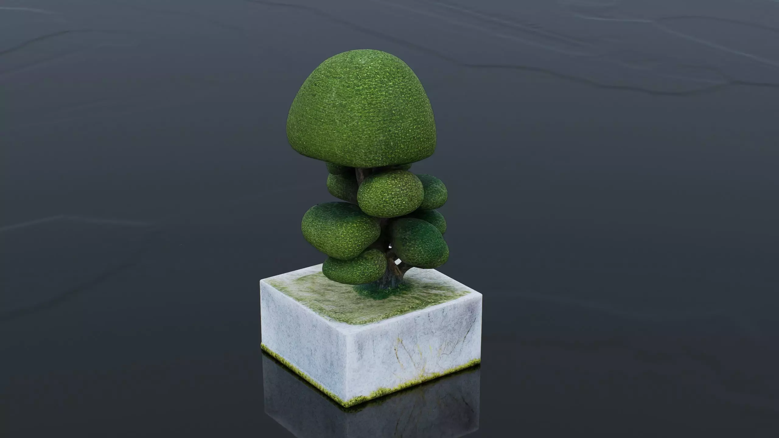 Bonsai Low-poly 3D model_1
