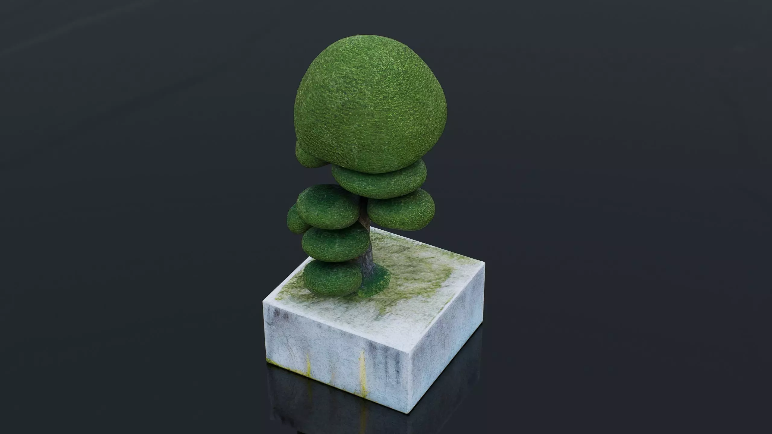 Bonsai Low-poly 3D model_6