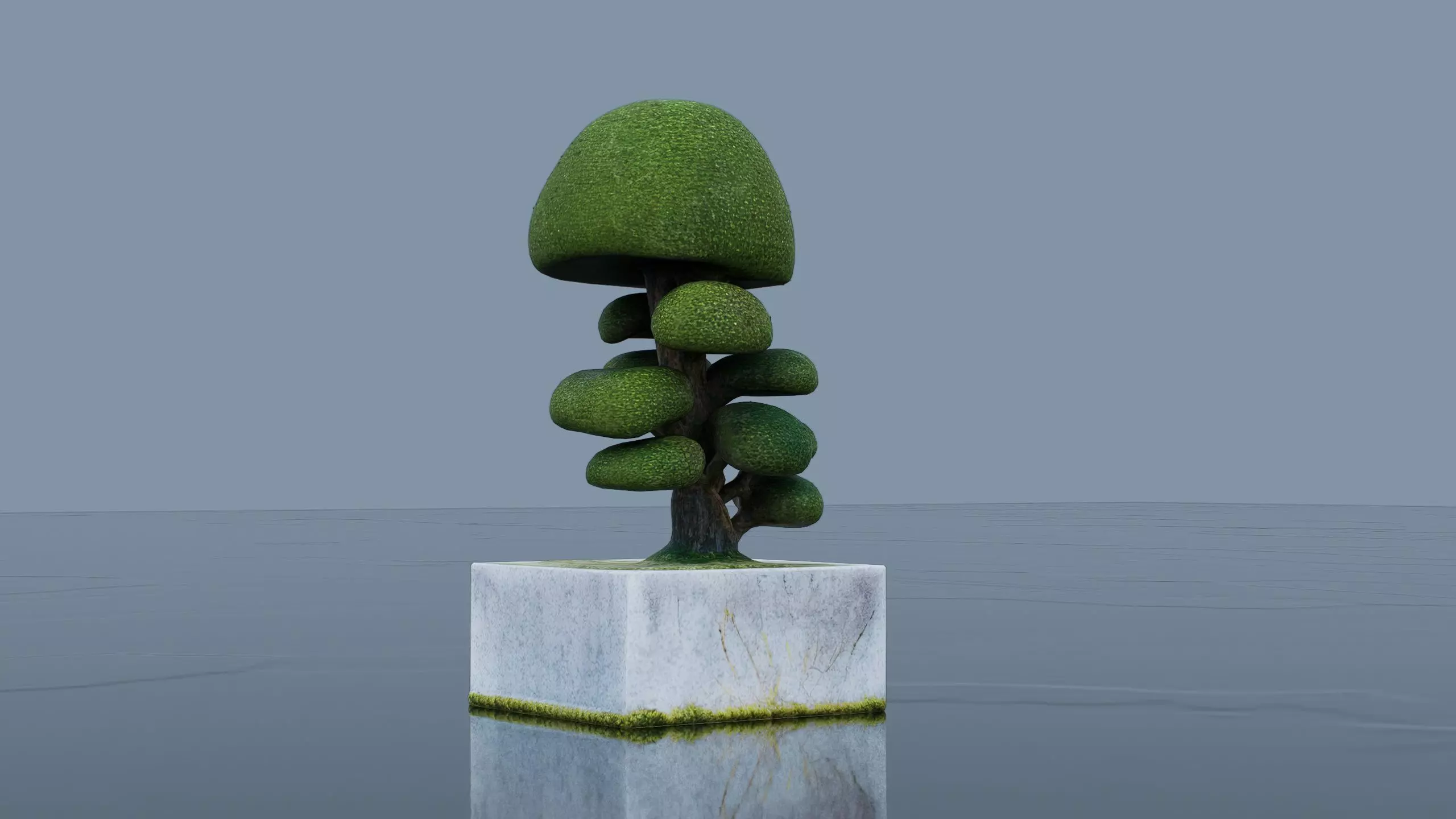 Bonsai Low-poly 3D model_0