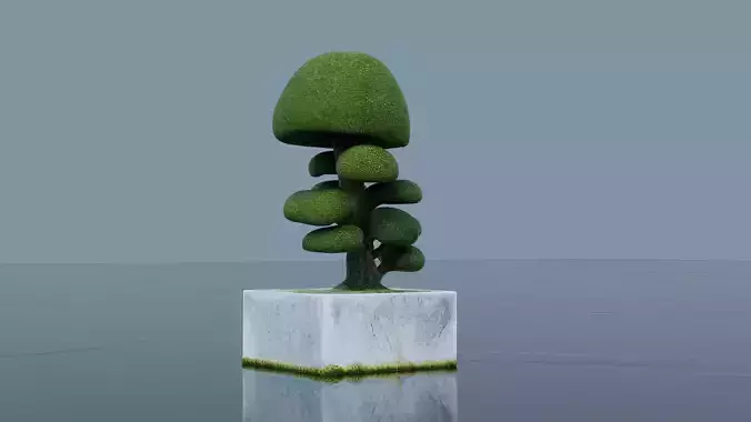 Bonsai Low-poly 3D model