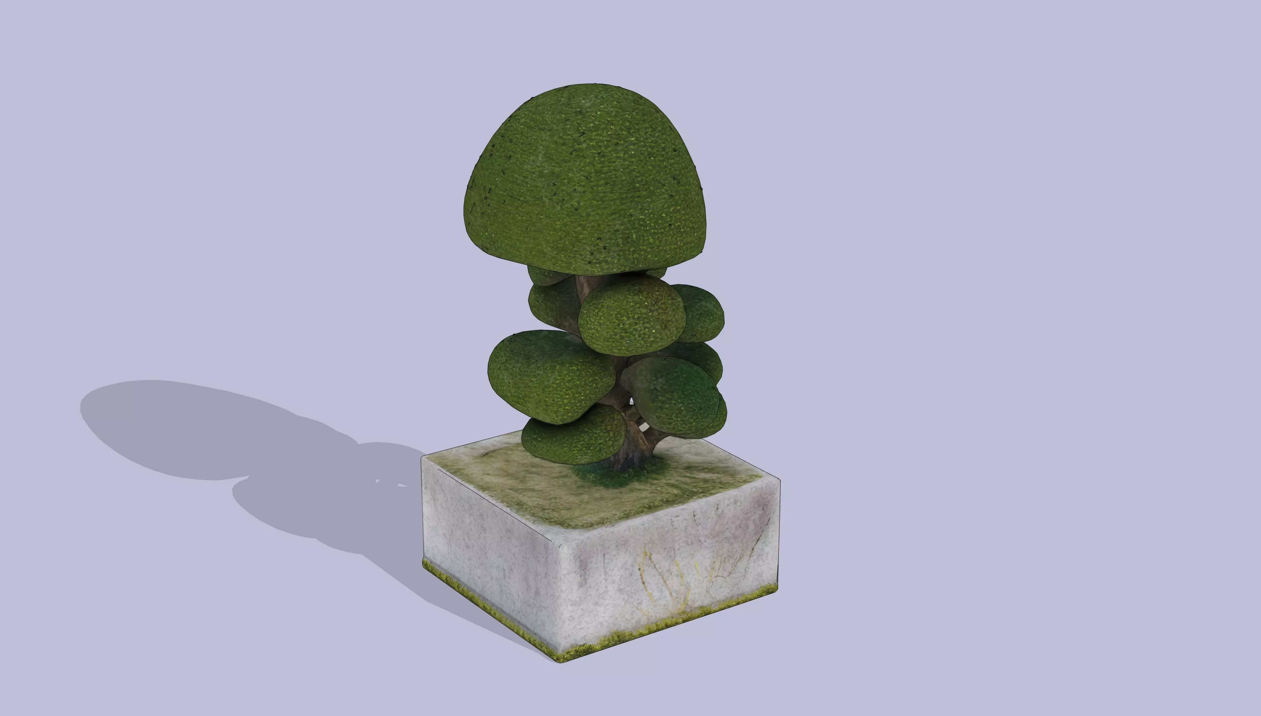 Bonsai Low-poly 3D model_2