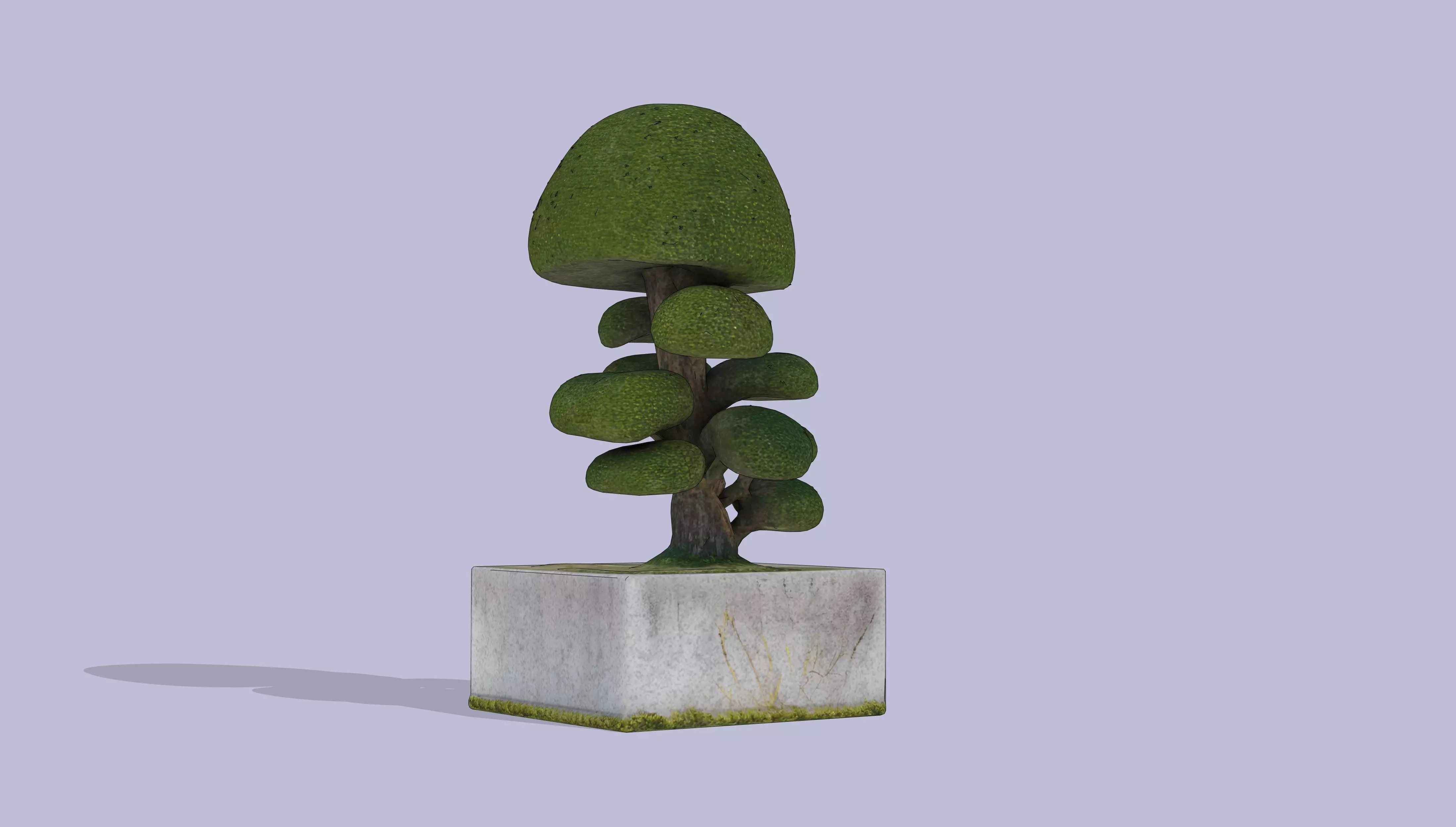 Bonsai Low-poly 3D model_5