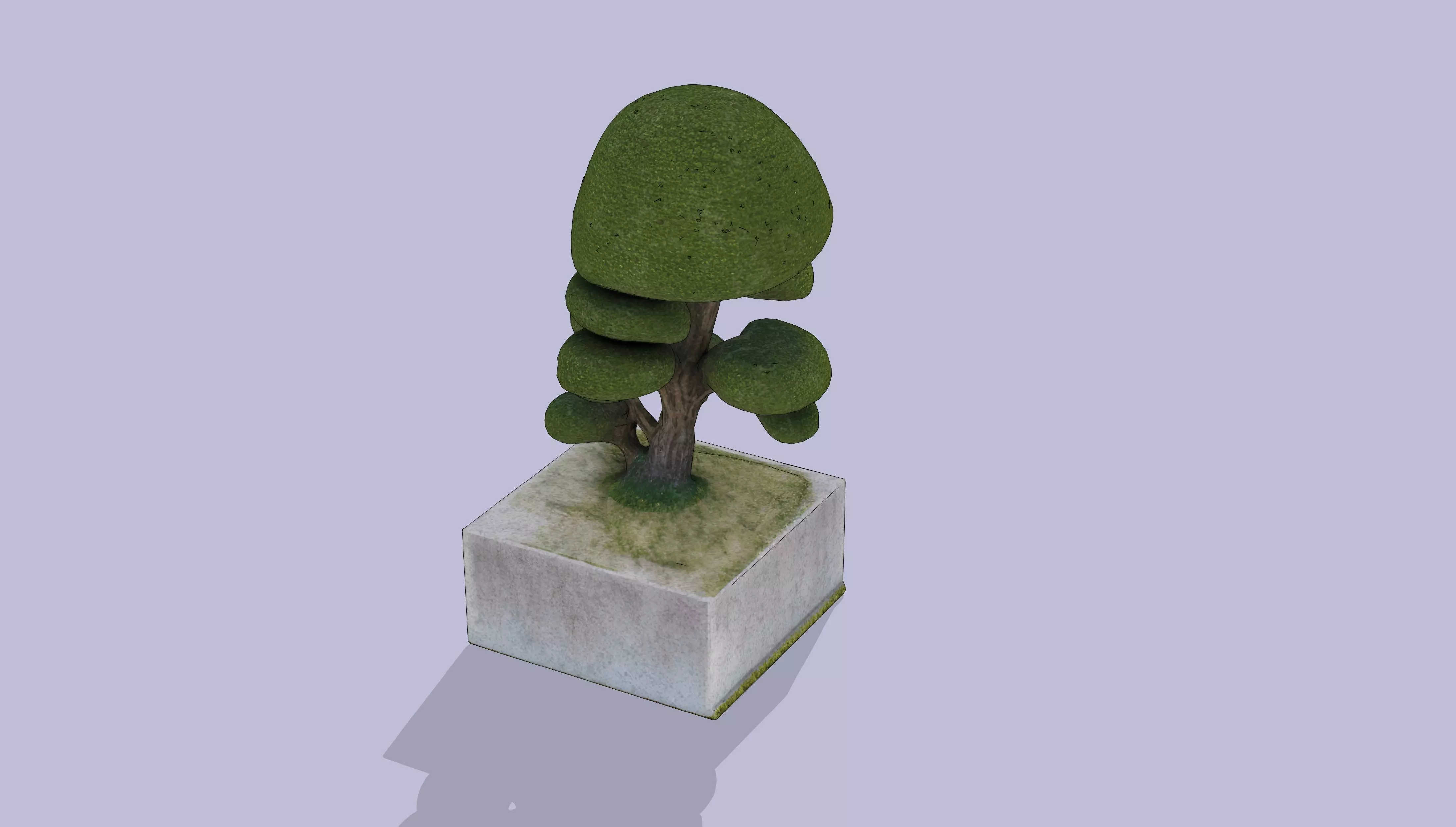 Bonsai Low-poly 3D model_4