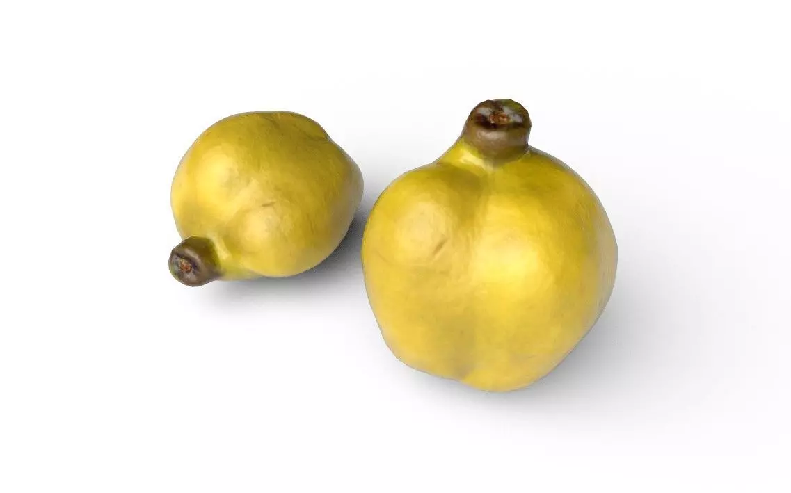 Quince M05 Low-poly 3D model_5