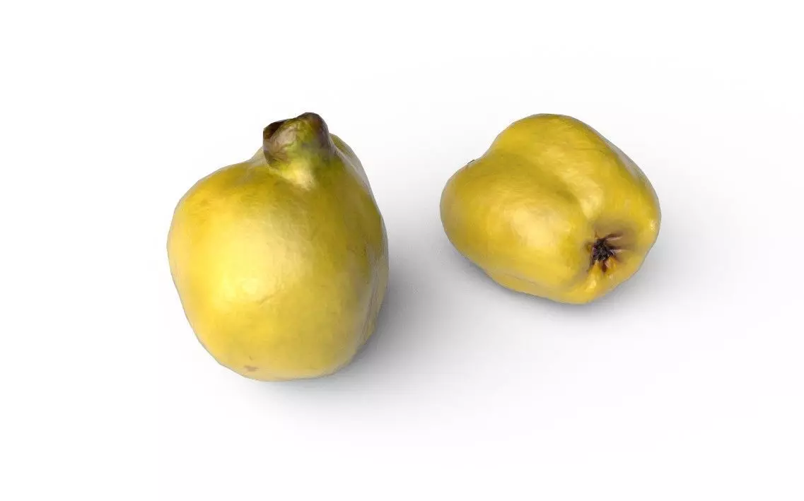 Quince M05 Low-poly 3D model_0