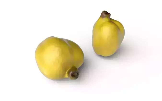 Quince M05 Low-poly 3D model 5