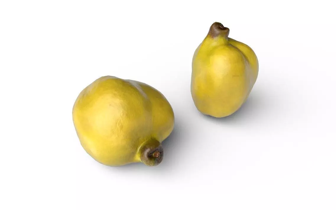 Quince M05 Low-poly 3D model_4