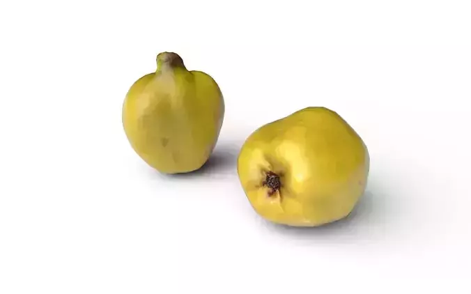 Quince M05 Low-poly 3D model 4